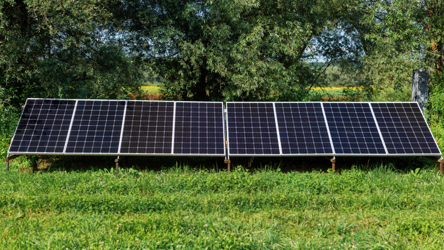 paneles-solares-naturaleza